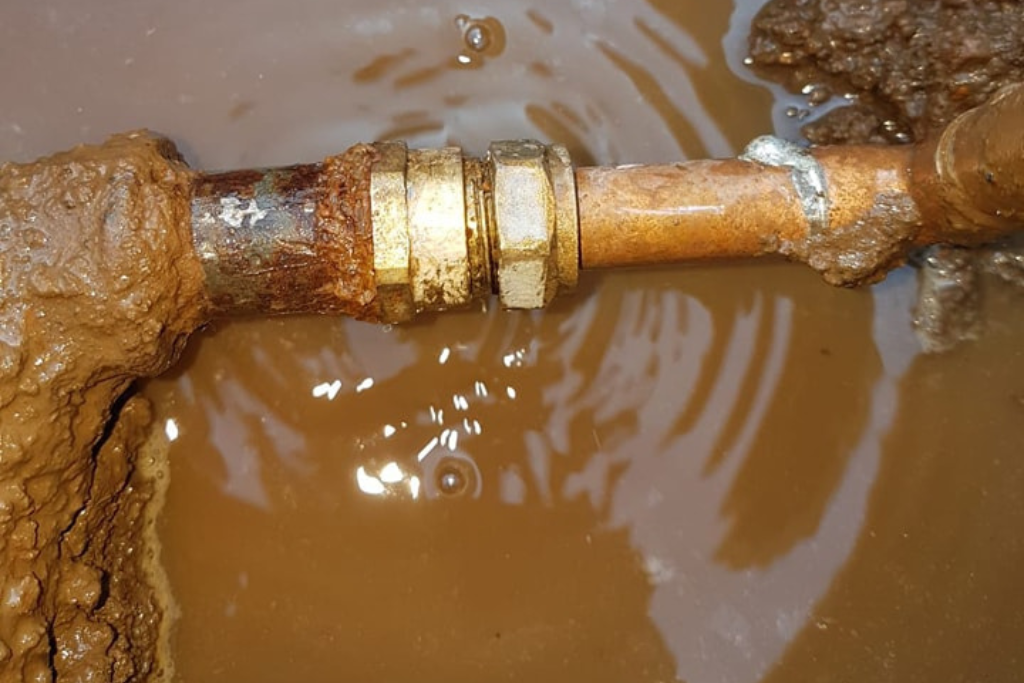 Plumber in Risana
